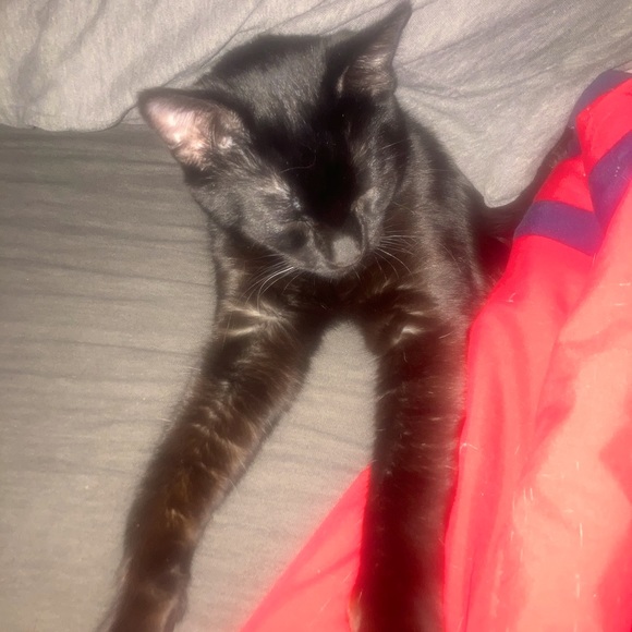 Meet your Posher, Tobi - Picture 11 of 14